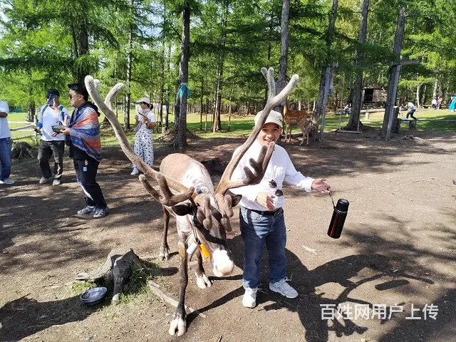 呼伦贝尔新巴尔虎左旗草原旅游包车师傅排名常师傅靠谱 - 图片 4