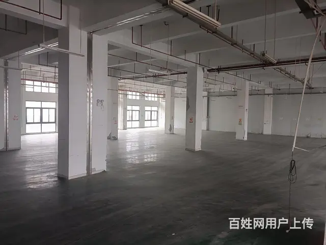 海沧标准钢结构招租2030平方 - 图片 1