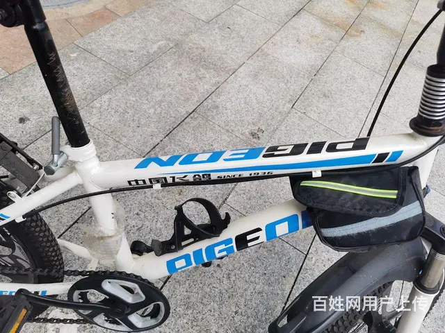 飞鸽山地自行车 - 图片 4