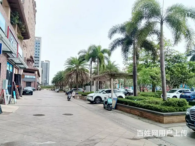 （51旺铺推荐）老城67平旺铺招租 - 图片 6