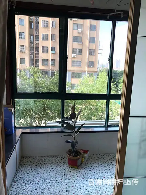 东边户落地窗客厅，卫生间带窗全明，好装修，无大税杨家滩九龙城 - 图片 4