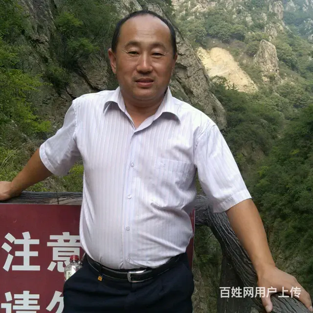 找个度余生伴侣 - 图片 1