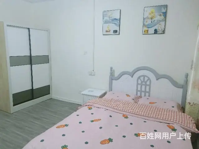 金雀新城，无中介费，我是房东，可以押一付一 - 图片 4