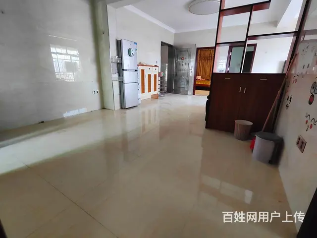 维多利亚酒店后面的小产权电梯房 - 图片 10
