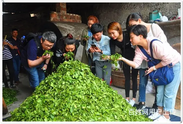 11月茶艺培训班21日天晟中国茶学系统培训班 - 图片 9