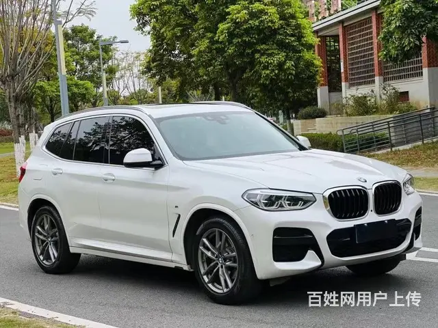 宝马X3 2019款 X3 xDrive28i 2.0T 手 - 图片 3
