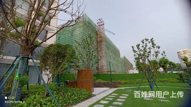 青洋高架旁 金新科创园 适合企业 会所 企业税收优惠政策 - 图片 1