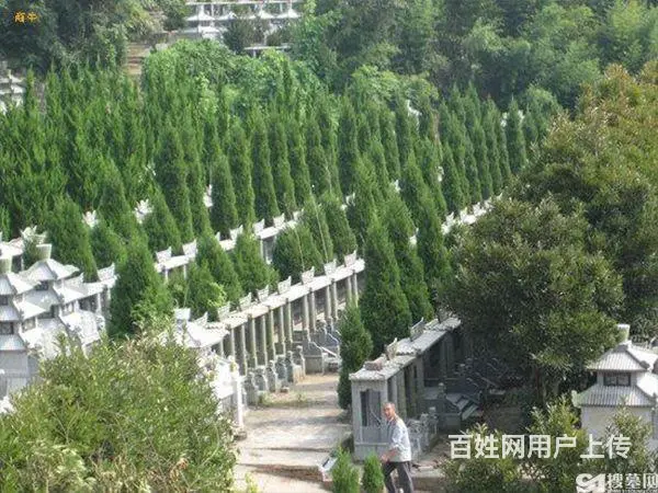 乌鲁木齐米泉市北郊公墓,提供咨询、购墓、一条龙服务 - 图片 4