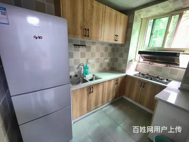 丝茅冲地铁口 精装两房 一楼带花园 丽臣小区 邮电 制药厂 - 图片 11