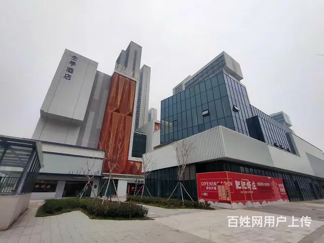 4号线罗家港 实图实价租房公寓 近徐家棚 徐东 岳 - 图片 12