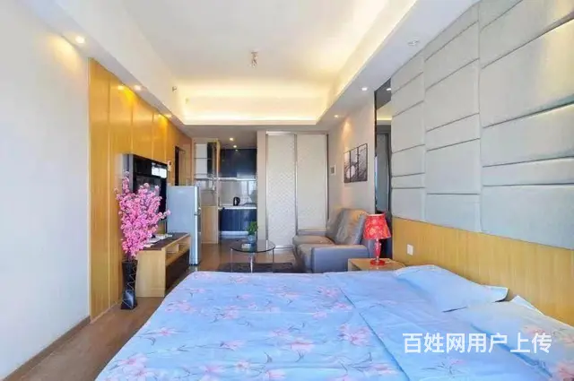 中街高档公寓出租，可月租、日租、钟点房 - 图片 4