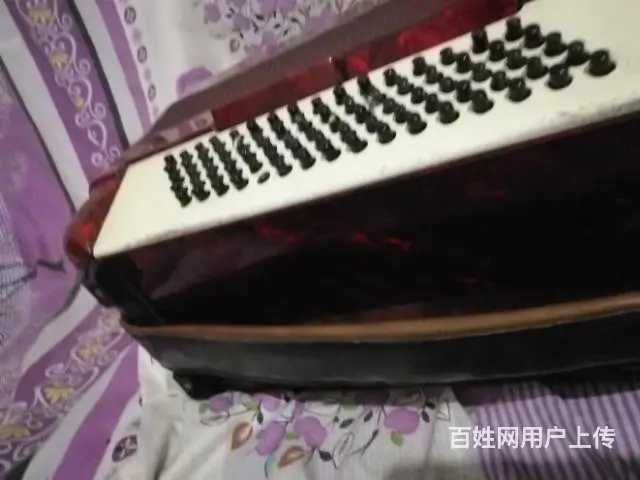 转让二手手风琴 - 图片 1