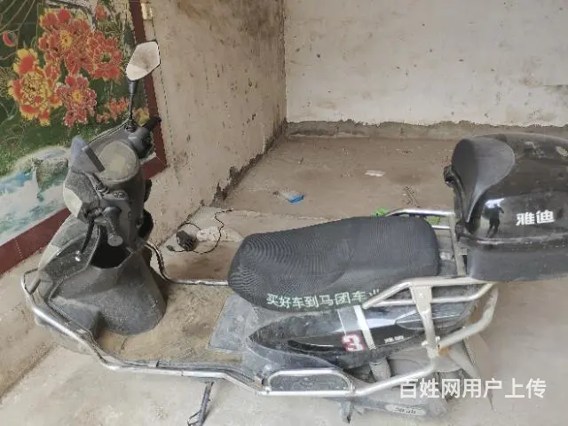 ………… - 图片
