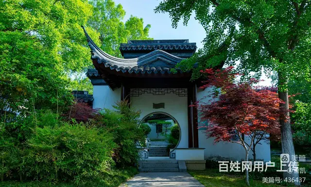 铜山新区康乐园整套住房出租 - 图片 2