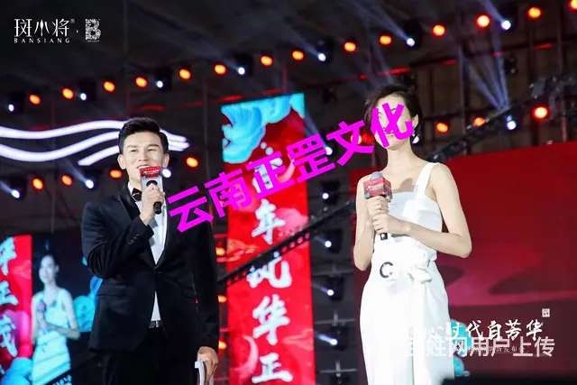 舞台灯光音响、LED屏、桁架、启动道具、演出、摄像 - 图片 4