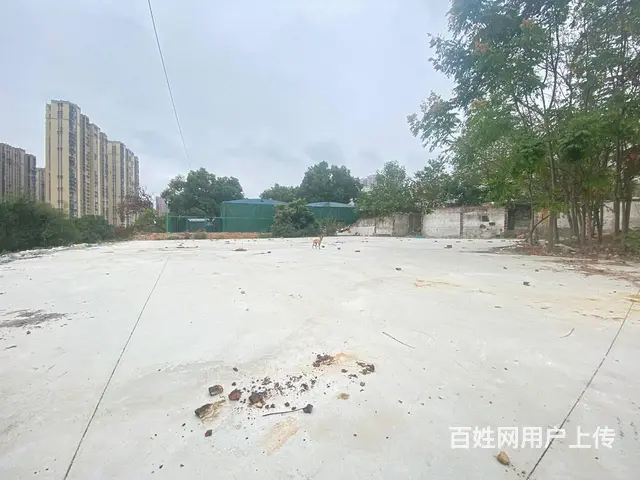 芙蓉区星沙远大二路10000平场地，7亩鱼塘出租，可分租 - 图片 7