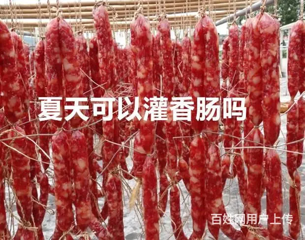 四川西部大旗冷风烘干房 腊肉香肠夏天烘 - 图片 2