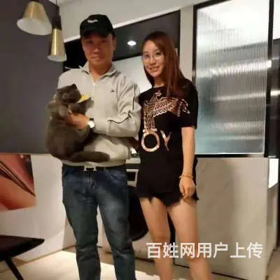 嘉兴宠物救援队，全职专业找猫找狗团队 - 图片 4