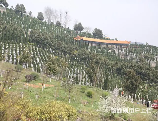 乌鲁木齐米泉市北郊公墓,墓地优惠销售,双人墓单人墓 - 图片 4
