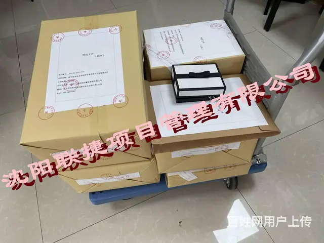沈阳标书制作，文件精美，内容丰富。 - 图片 3