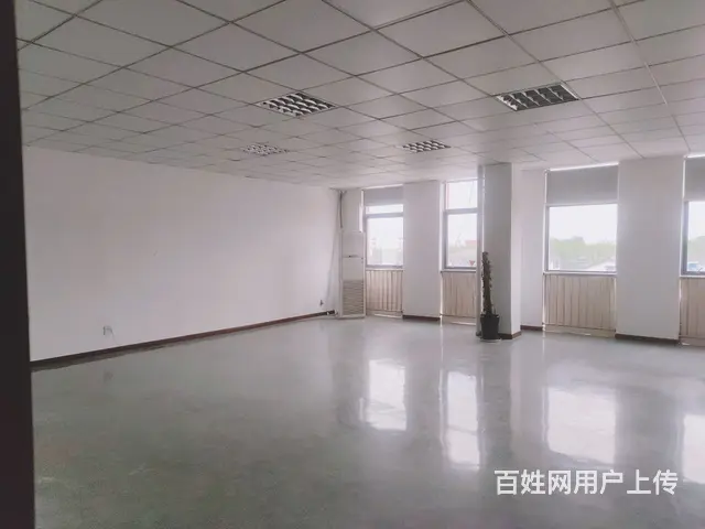 淀山湖独院独栋厂房 形象好 整租分租均可 - 图片 6
