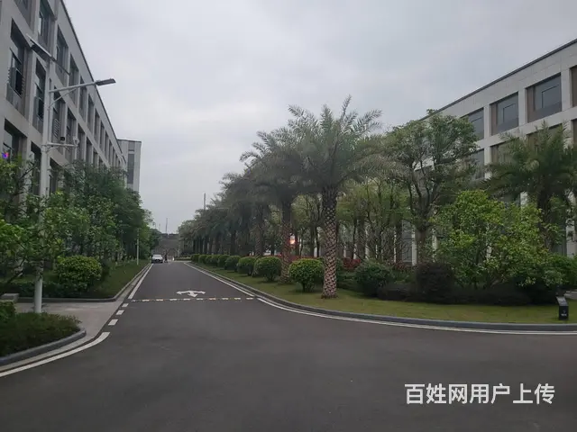 珠海唐家 五层独栋 2700到6000平 企业总部 独立产权 - 图片 5