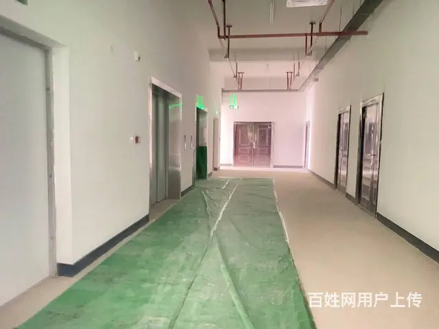 （房东直租）中青路佳海园区460一1500平厂房，可分租 - 图片 10