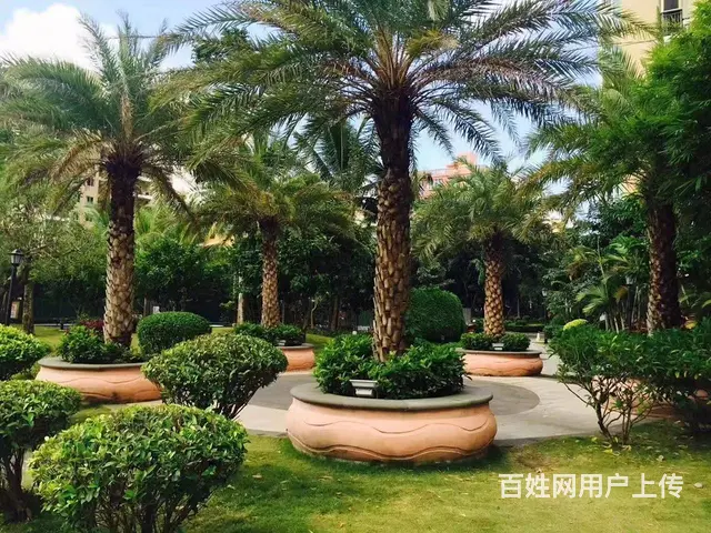 （51旺铺推荐）荔枝沟南新悦城104平三室出租 - 图片 7