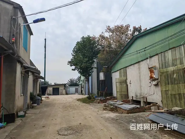 （城市在线找房免费）铜山新区符离大道旁厂房出租 - 图片 3