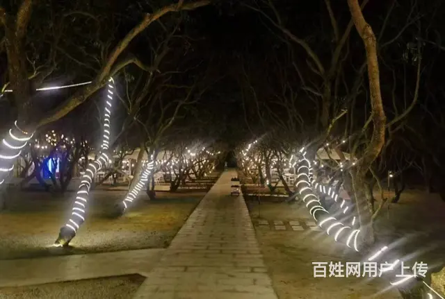 （51旺铺推荐）海棠湾1500平林下餐厅出租（直租无转让费） - 图片 3