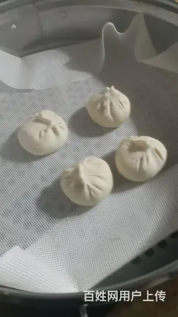 做早餐不起早普通冰柜冷冻生胚技术（包子油条 - 图片 4