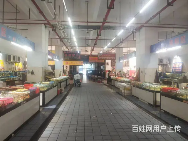（51旺铺推荐）秀英兴海海鲜广场650餐饮店转让 - 图片 12
