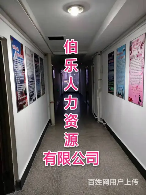 长期招聘赴各国使馆后勤工作人员 - 图片 1