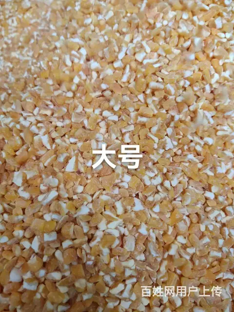 批发饲料玉米面玉米糠 - 图片 4