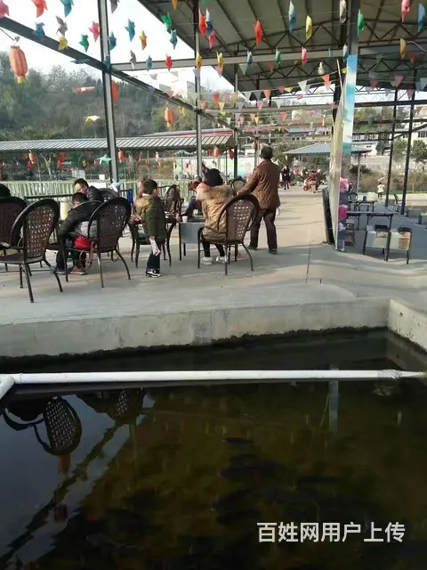 旺铺居）房东直租农家乐招餐饮项目环境优美绿树成荫鱼塘环绕 - 图片 2