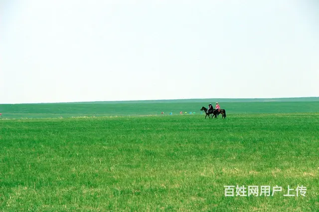 呼伦贝尔旅游租车师傅巴特尔 - 图片 2
