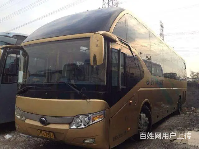 石狮宠物托运（猫狗）活体邮寄快递（2022宠物运输 ）今日推 - 图片 3