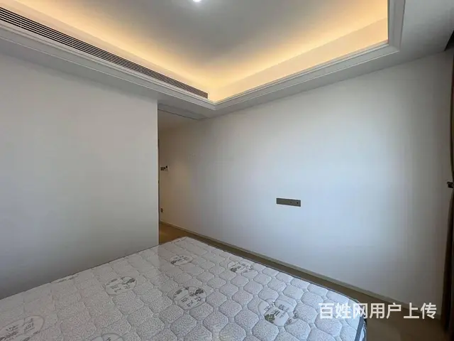 楚河汉街4号线武汉站东湖金茂府 精致大三室两卫 - 图片 9
