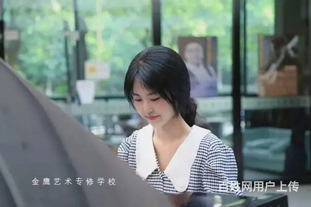 音乐艺考培训：如何斩获音乐名校5张合格证 - 图片 2