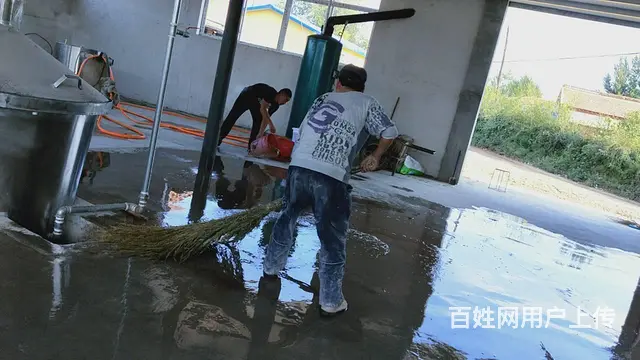 醇中醇酒曲全国发货酿酒设备负责厂房设计上门指导技术 - 图片 7