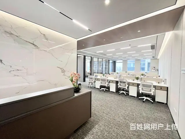 绿地商业中心，精装出租，拎包入住，周围配套成熟，交通便利！ - 图片 11