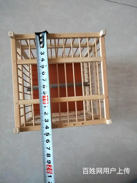 鸟笼 - 图片 4