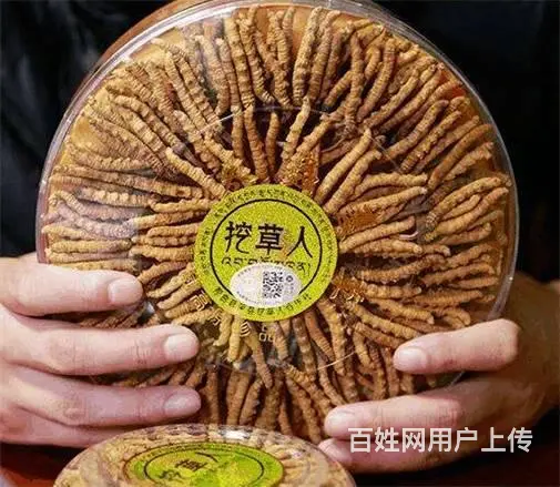 番禺回收冬虫夏草市场价格报价 - 图片 1