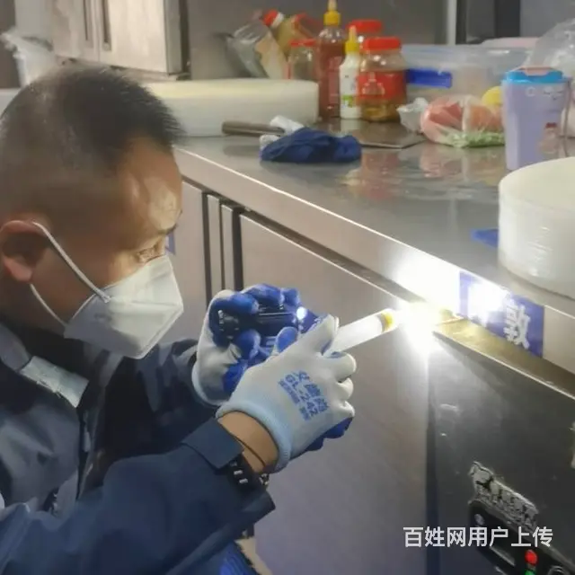 找虫害消杀服务，就到马小虫，找专业团队。 - 图片 2