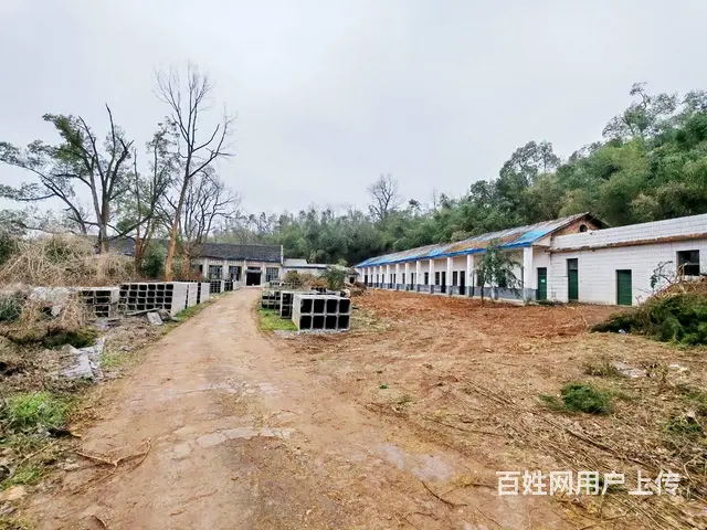（老板本人）宁乡高速旁独门独院厂房出租  6116 - 图片 5