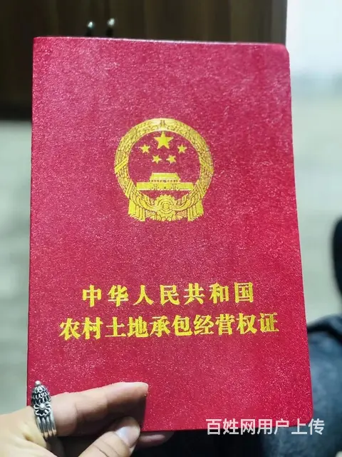 西双版纳勐海县自家南糯山50亩林地租售/寻合作 - 图片 6
