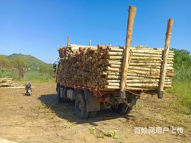 转让乘龙M3转让17年6月 - 图片 6