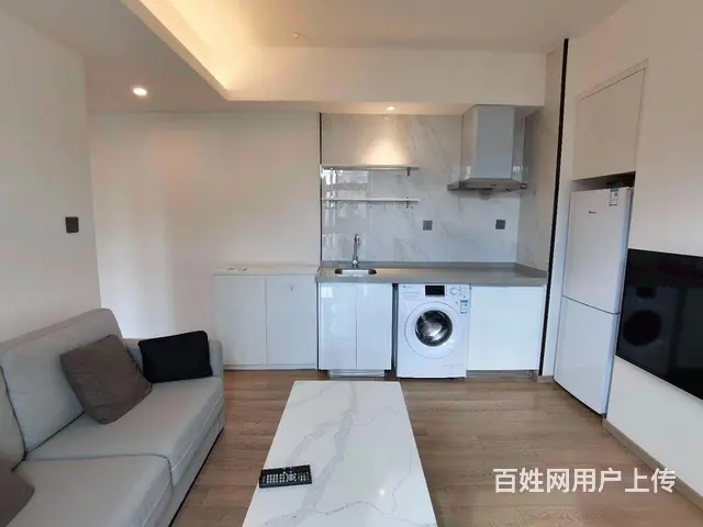 南部汽车地铁站 观云海 1室1厅1卫 精装修 带家 - 图片 3