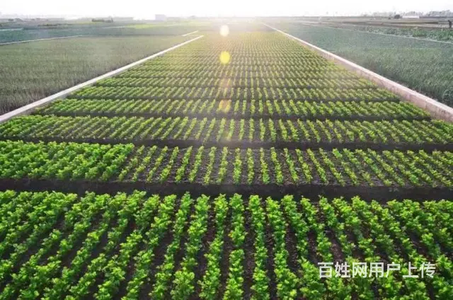 澳门长期招聘导购员理货员 - 图片 10