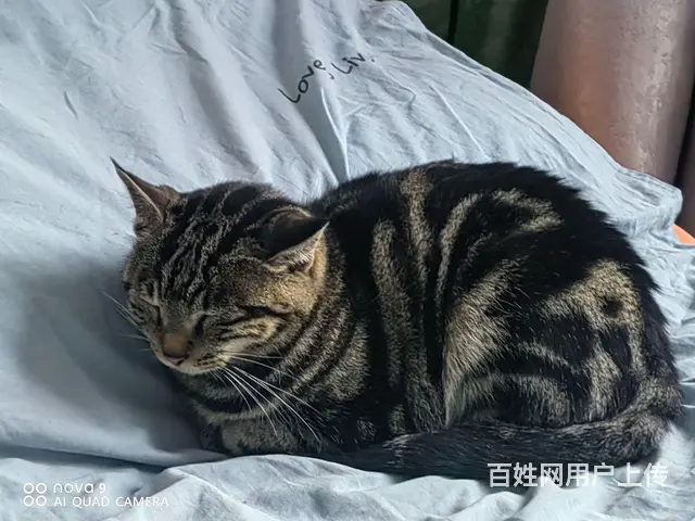 免费赠送 - 图片 1